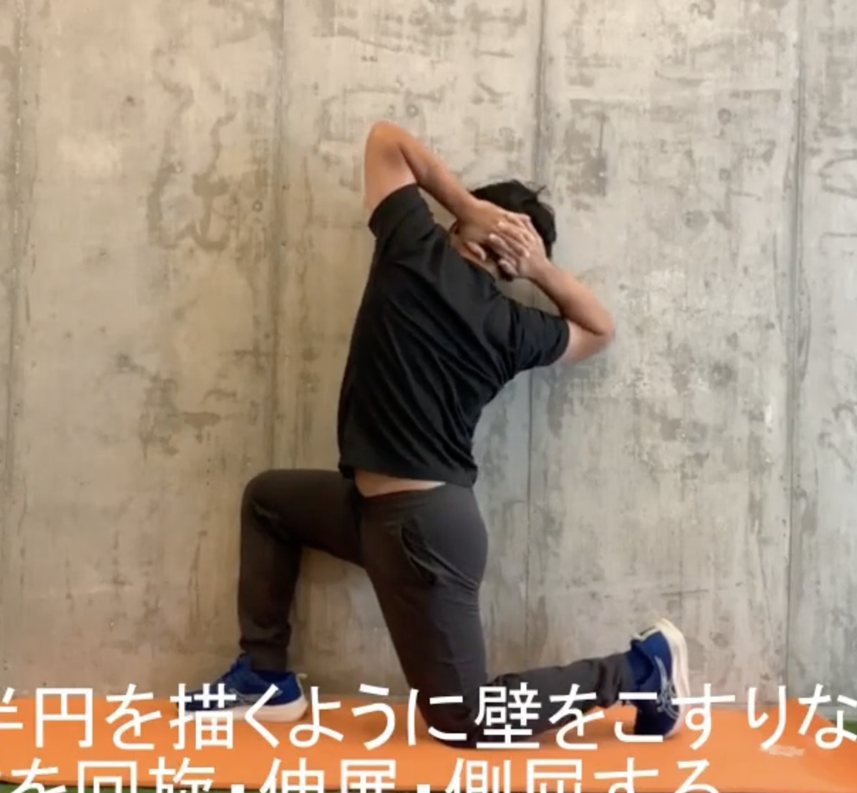 ハーフニーリング ソラシック モビリティ ウィズ ウォール